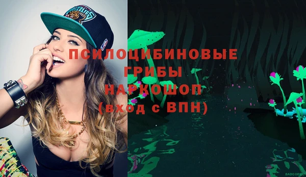 гашик Балабаново